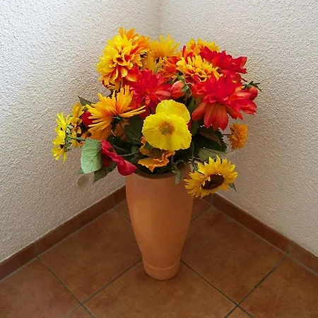 Apartamento Ferienwohnung Hasserode - #86784 *
