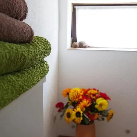Apartamento Ferienwohnung Hasserode - #86784 *